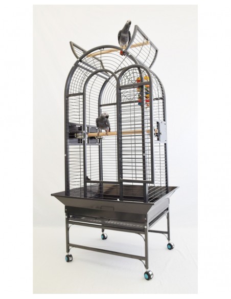 Jaula para Loros Haiti