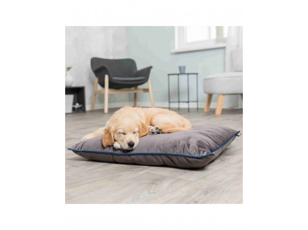 Cojín Love your Pet 80 x 65 cm