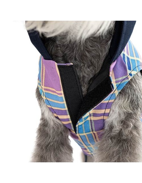 Chubasquero con capucha Lavanda