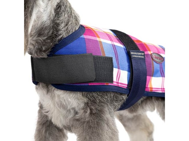 Capa + Trendy Breathe Comfort Cereza