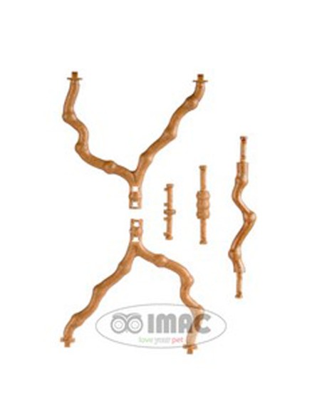 Posadero Rama, Marrón