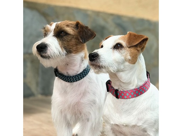 Oferta Correa Fantasy Mint Pink 120 cm