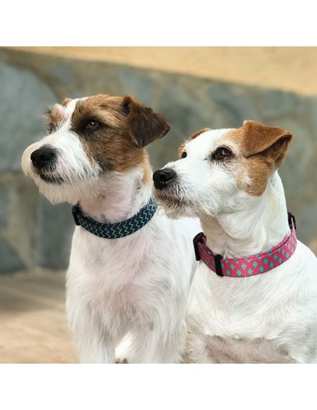 Oferta Correa Fantasy Mint Pink 120 cm