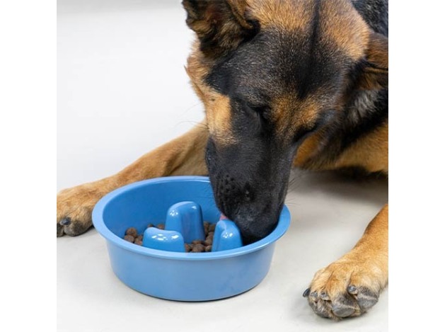 Ibañez Comedero Come-Despacio para Perros