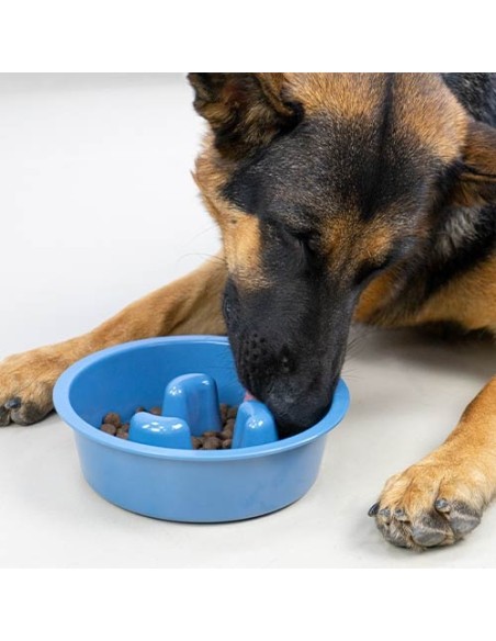 Ibañez Comedero Come-Despacio para Perros