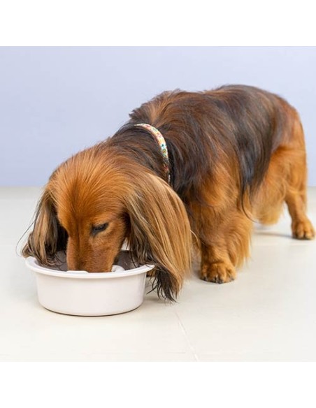 Ibañez Comedero Come-Despacio para Perros
