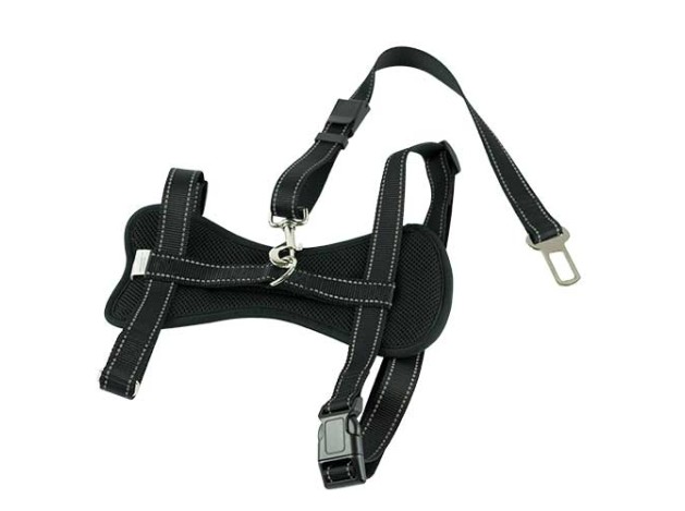 Arnés coche con cinturón seguridad Ibáñez Dogway