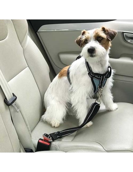 Arnés coche con cinturón seguridad Ibáñez Dogway