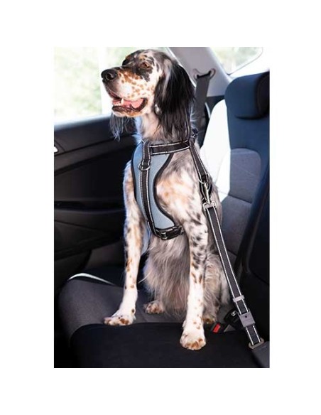 Arnés coche con cinturón seguridad Ibáñez Dogway