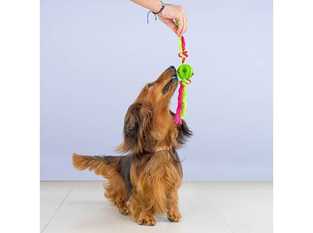 Pelota con nudos "Dientes limpios"