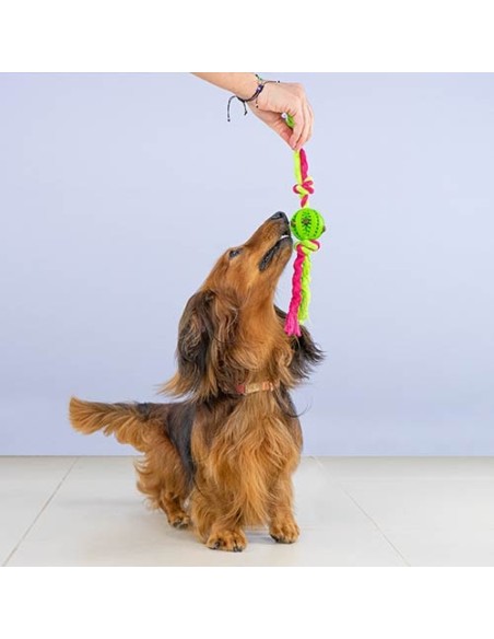 Pelota con nudos "Dientes limpios"