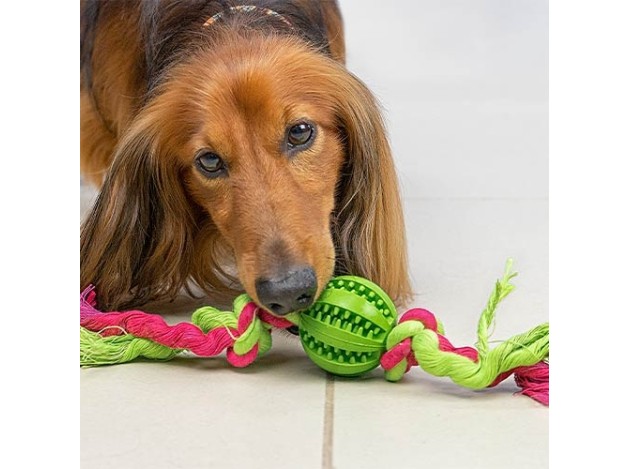 Pelota con nudos "Dientes limpios"