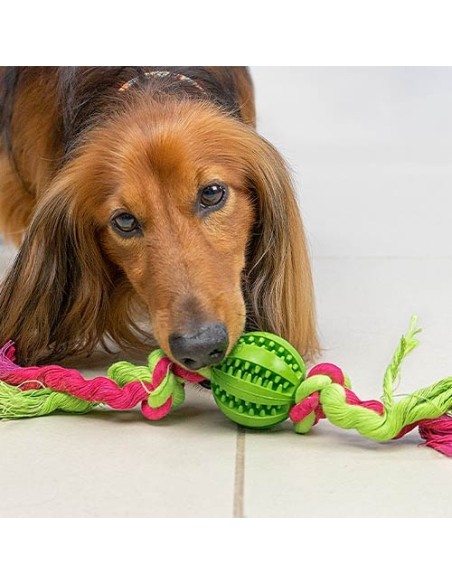 Pelota con nudos "Dientes limpios"