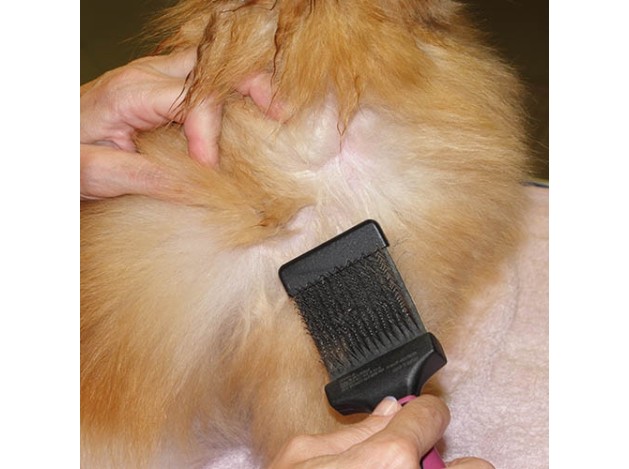 Carda doble extrasuave flexible Ibáñez