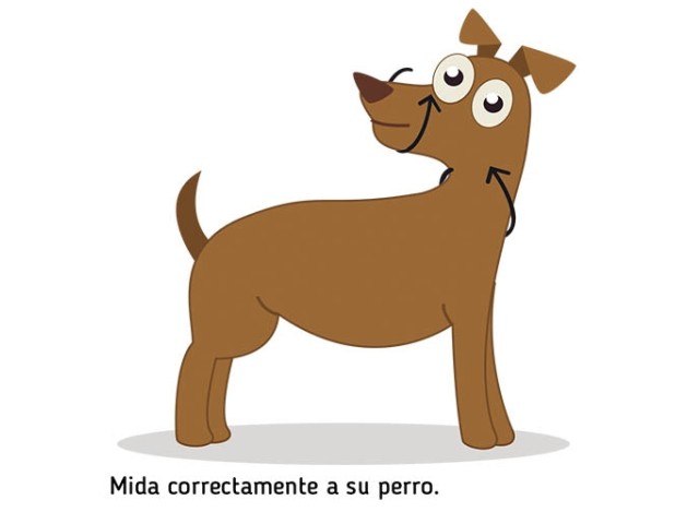 Dog guider Ibáñez Dogway