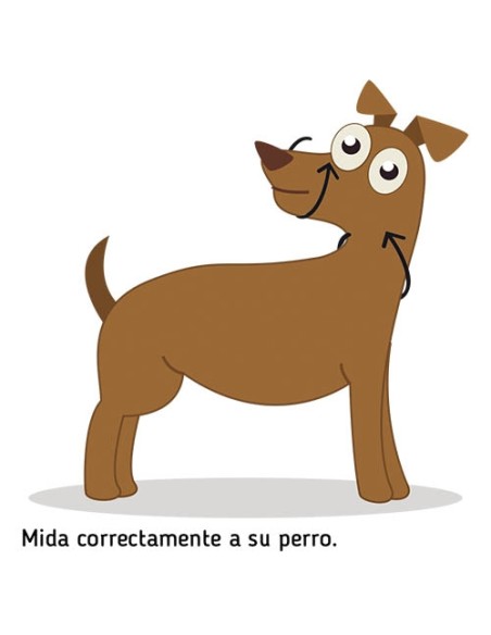 Dog guider Ibáñez Dogway