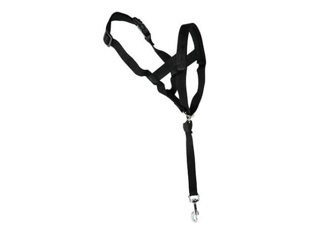 Dog guider Ibáñez Dogway