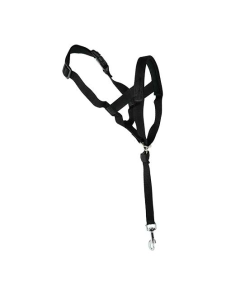 Dog guider Ibáñez Dogway