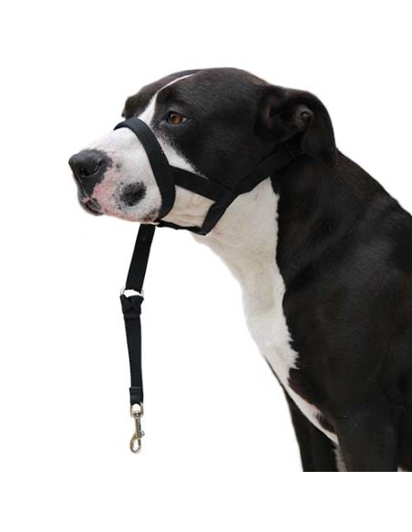 Dog guider Ibáñez Dogway