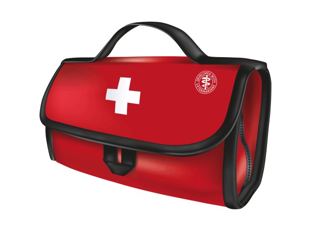 Kit Primeros Auxilios Premium