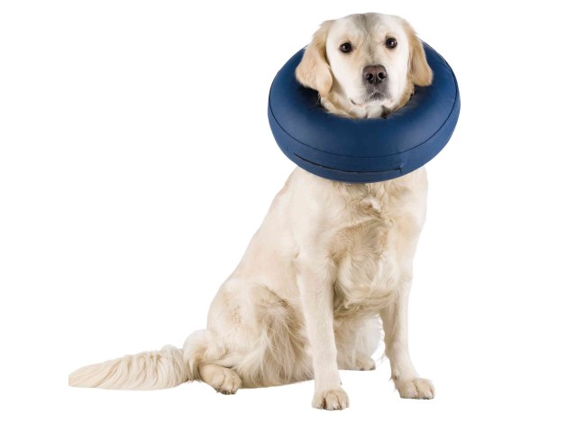 Collar Protector, inflable