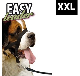 Easy Leader 2
