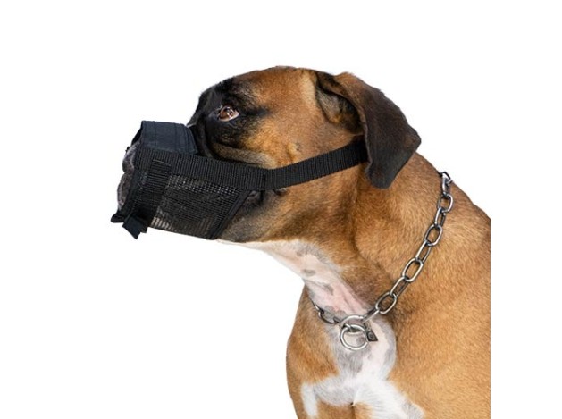 Bozal Guiador Easy Walk