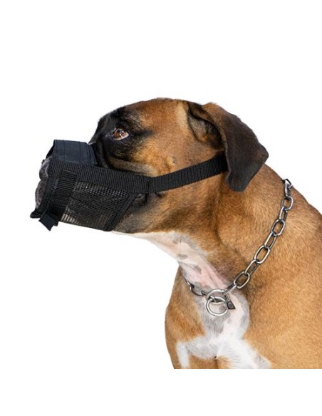 Bozal Guiador Easy Walk