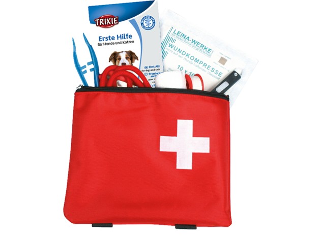 Kit primeros auxilios