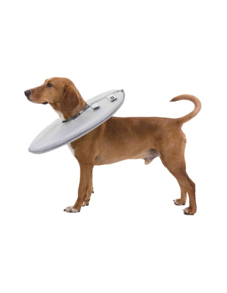 Collar Veterinario