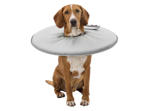 Collar Veterinario
