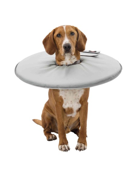 Collar Veterinario