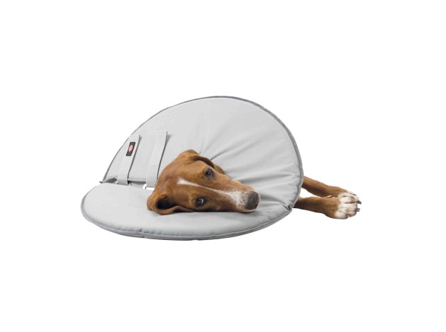 Collar Veterinario