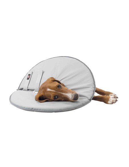 Collar Veterinario