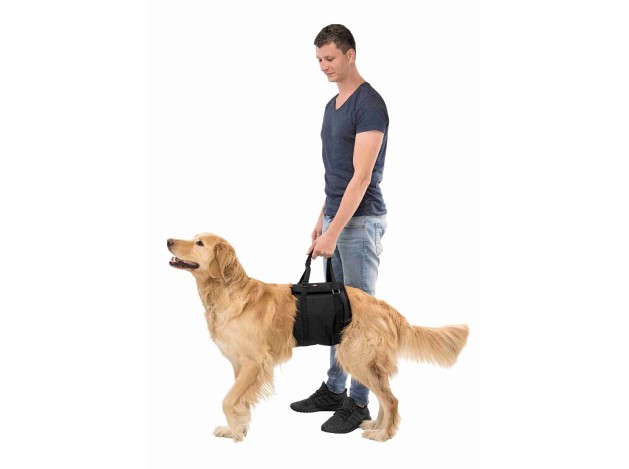 Elevador para perros