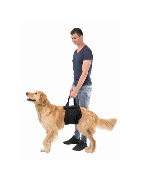 Elevador para perros