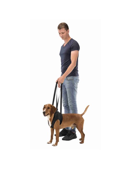 Andador para perros