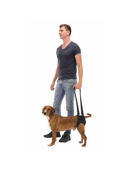 Andador para perros