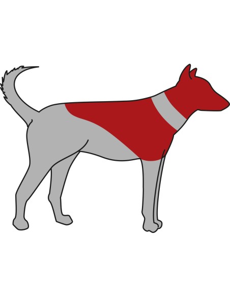 Collar Protector, inflable