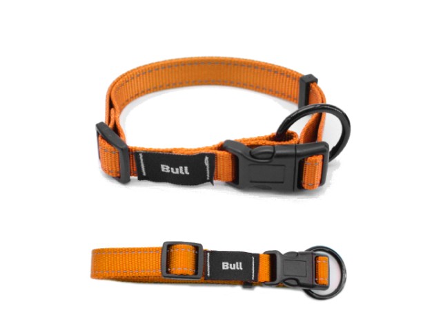 Collar Seguridad para perros Bull Flúor T3  33-50 cm