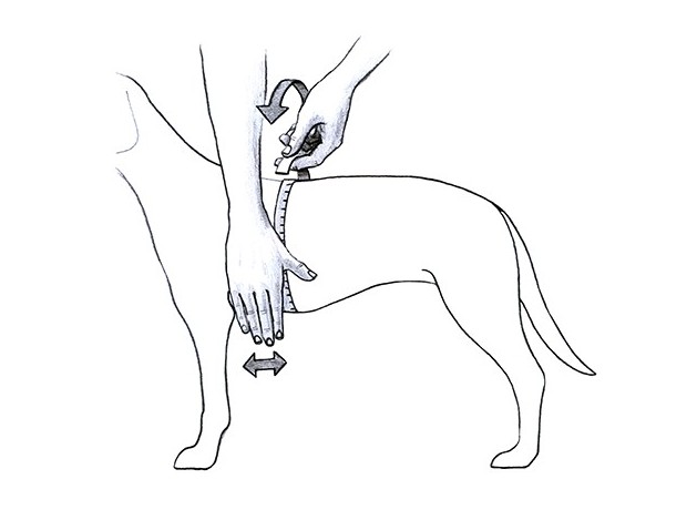 Arnés Julius k-9 IDC Fucsia