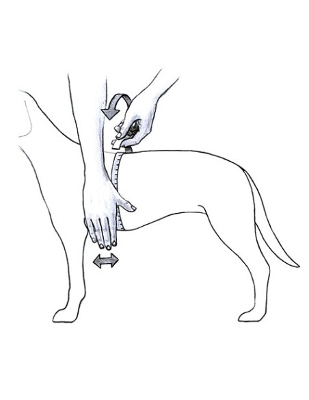 Arnés Julius k-9 IDC Fucsia