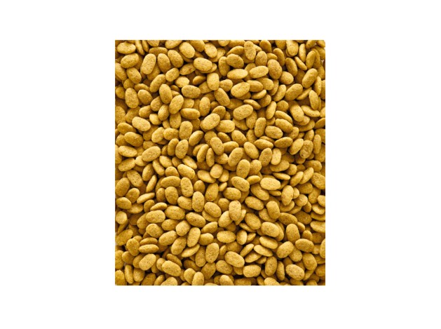 Versele-Laga NutriBird P15 Original Loros...