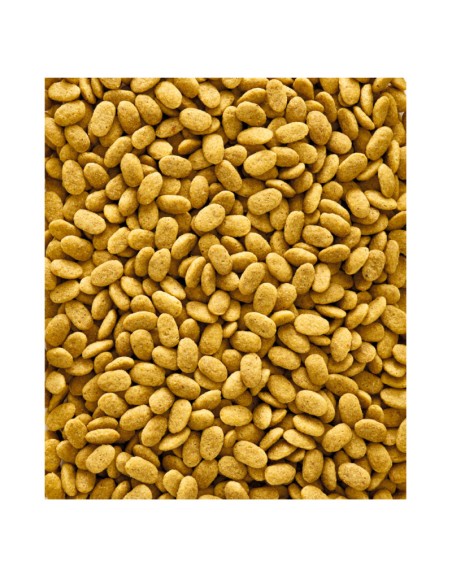 Versele-Laga NutriBird P15 Original Loros Medianos y Grandes