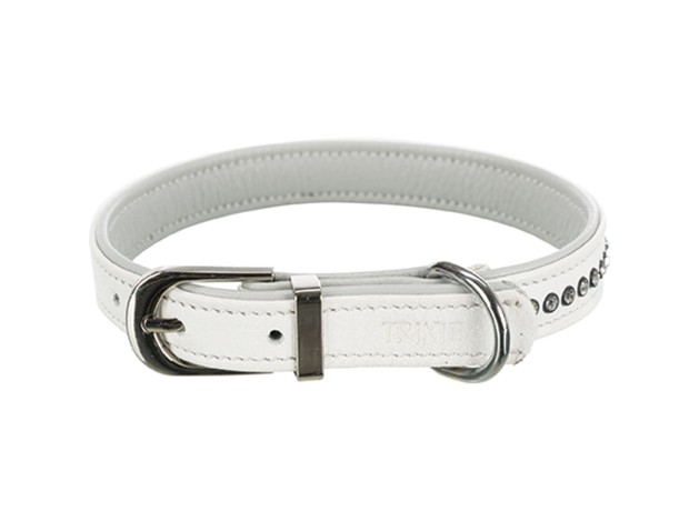 Oferta Collar piel para perros Active Comfort