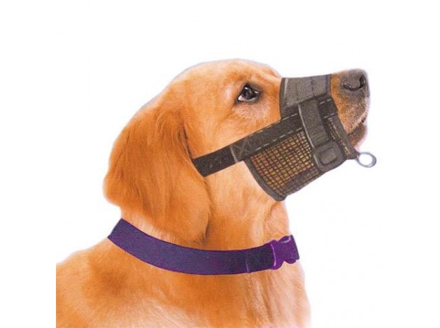 Bozal Guiador Easy Wak 