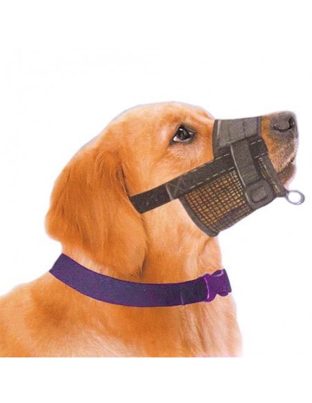 Bozal Guiador Easy Wak 