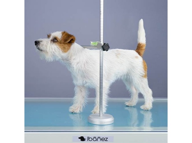 Medidor para perros y gatos