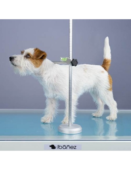 Medidor para perros y gatos