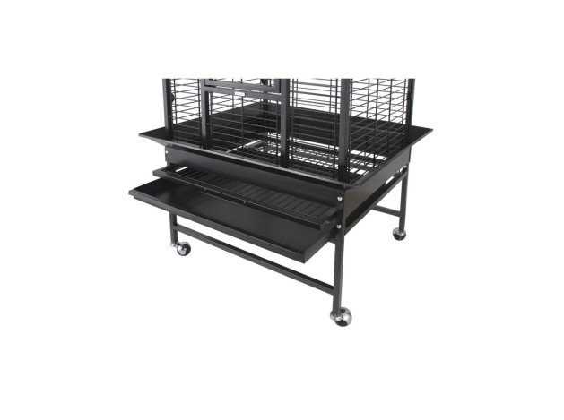 Jaula para Loros Haiti